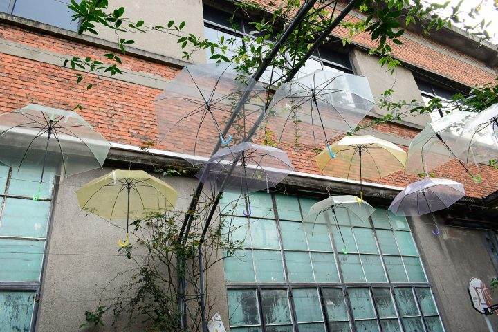 忽然想起了遗忘的事