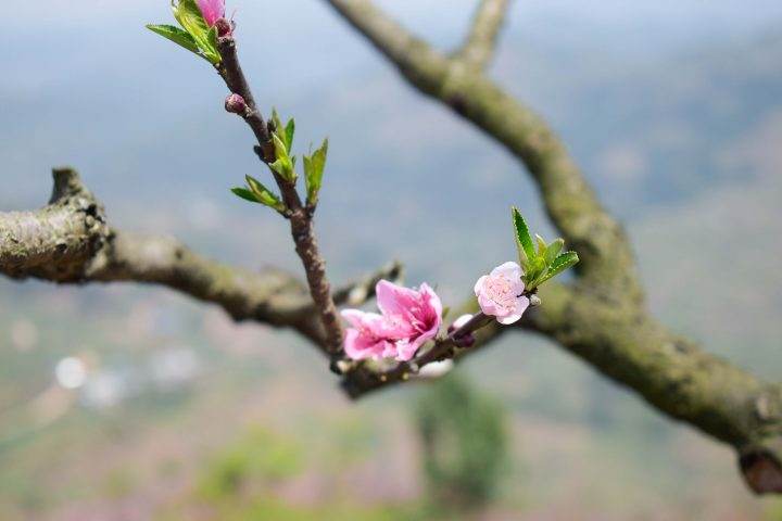若是一直沉默