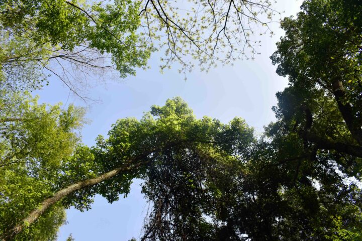 五月从盛夏开始