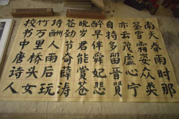 20230729临帖练字及抄录薛涛诗酬人雨后玩竹