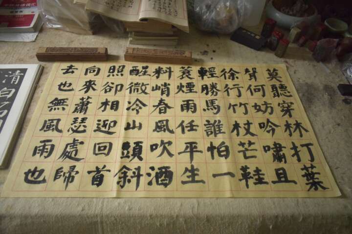 20230803临帖练字及抄录苏轼词定风波一蓑烟雨任平生