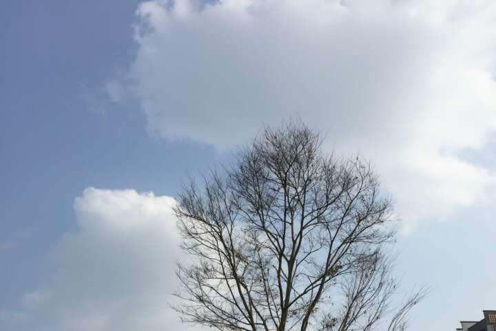 我也想问我一个河南人为什么一直待在四川待在成都十多年没离开