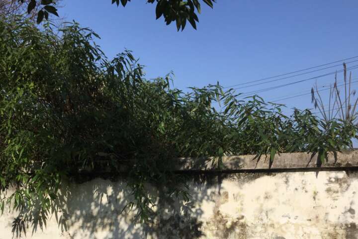 抽烟的行为有多可恶