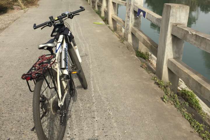再骑自行车到白莲桥东风渠河岸走了一段