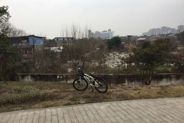 再骑自行车去致和路白莲池社区老街道